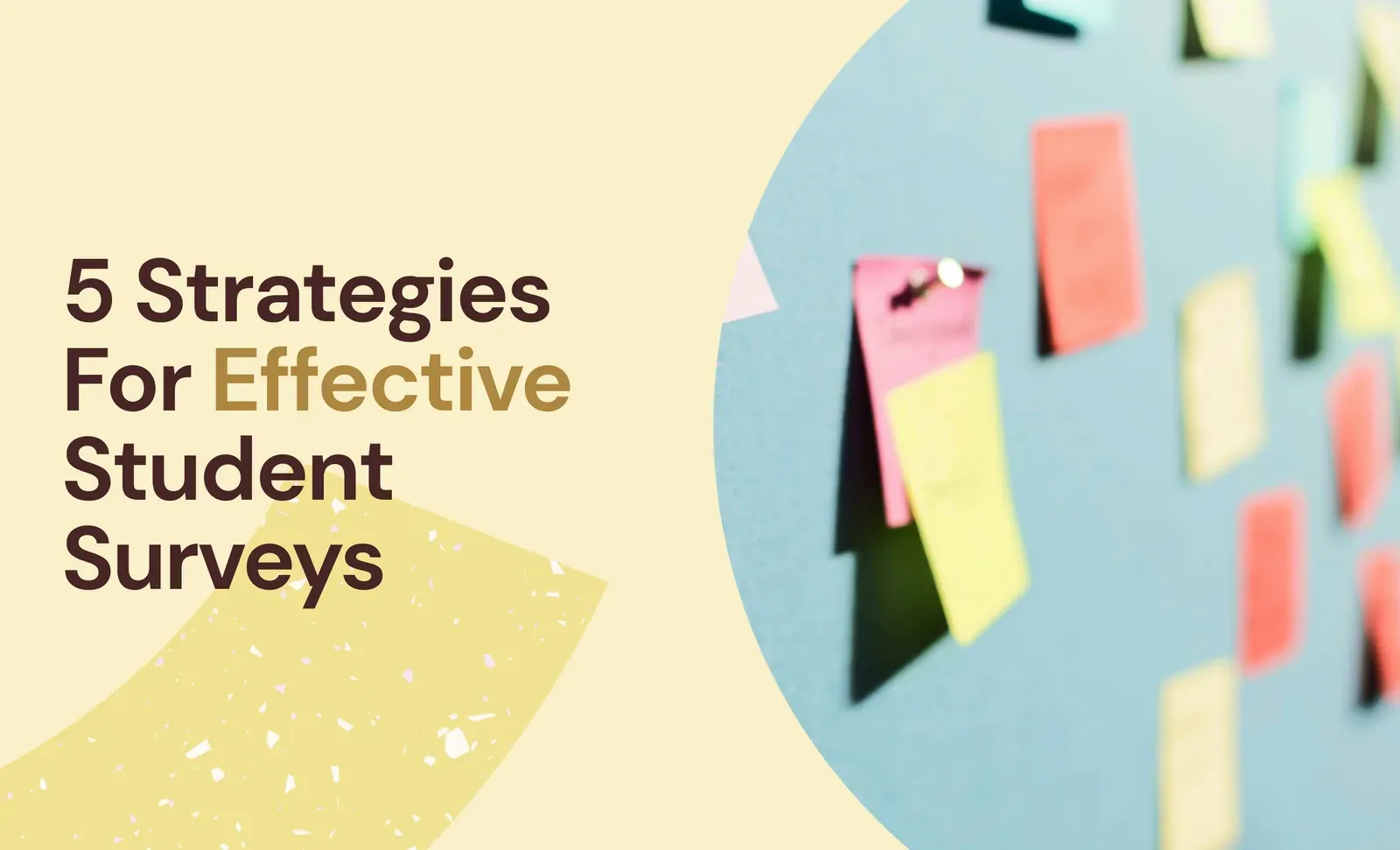 5 Strategies For Effective Student Surveys 