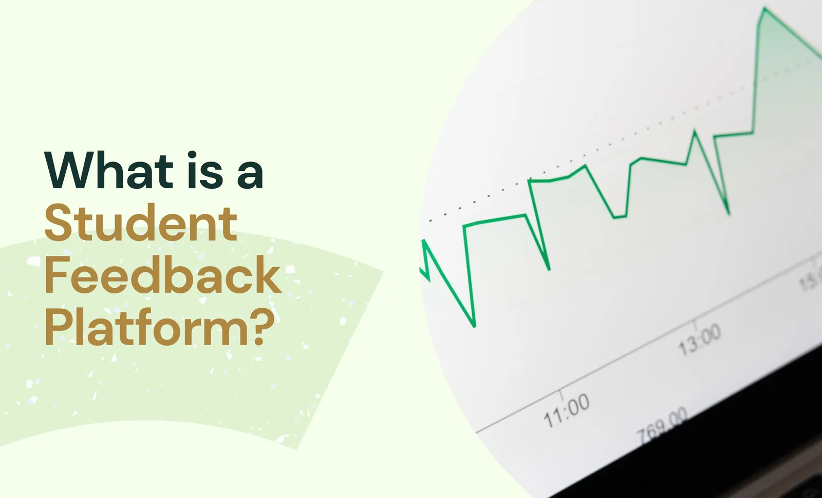 What is a student feedback platform?